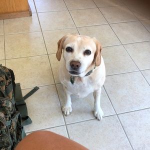 Meet your Posher, Christy